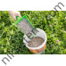 Витамини и минерали с анасон за Кокошки и други Птици 5 кг.  - IdaPlus Mineral Grit Mix